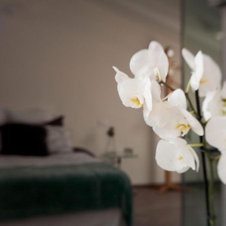 San Clemente Bed and Breakfast Crema Εξωτερικό φωτογραφία