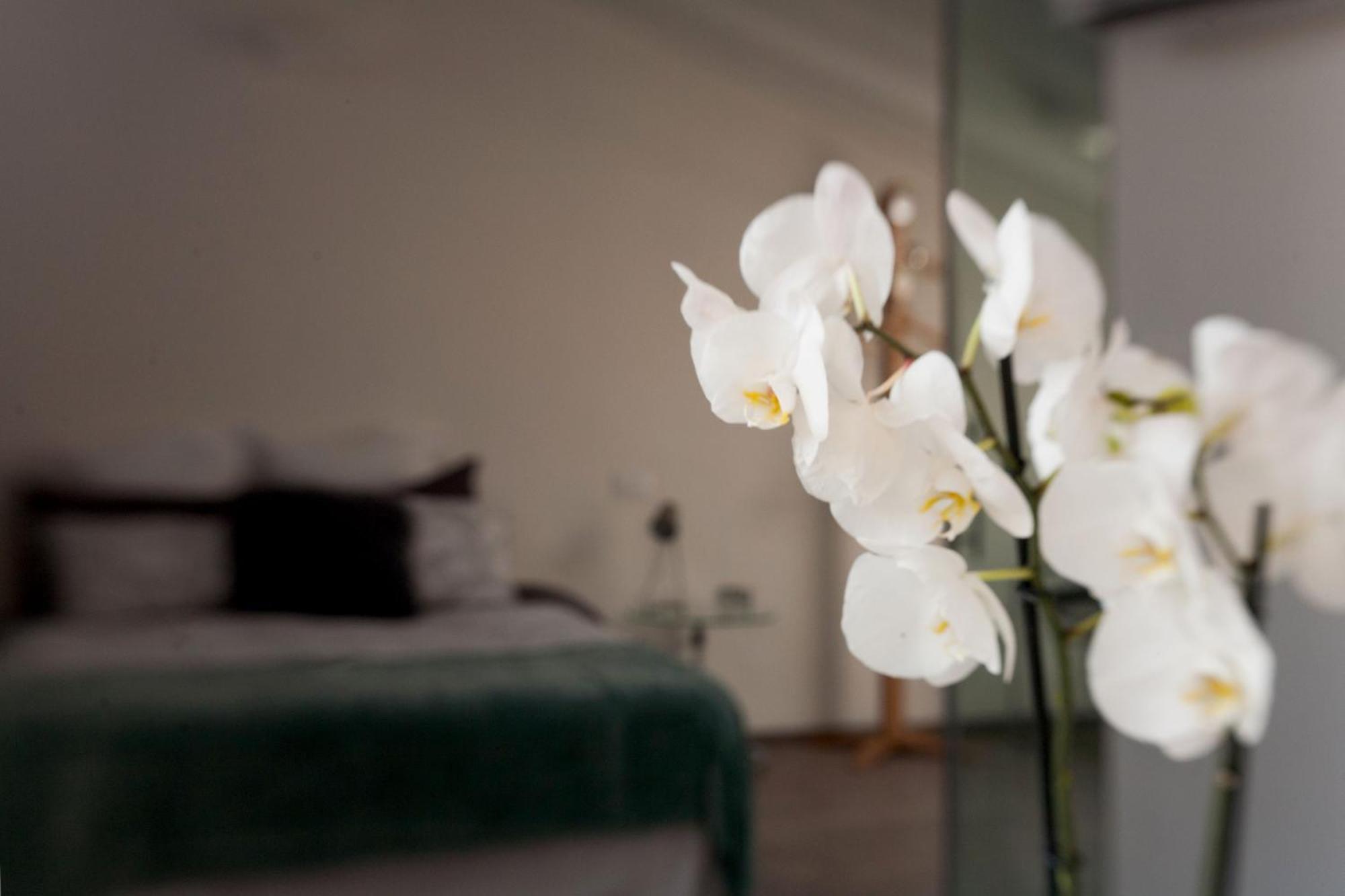 San Clemente Bed and Breakfast Crema Εξωτερικό φωτογραφία